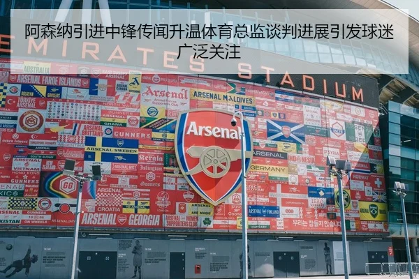 阿森纳引进中锋传闻升温体育总监谈判进展引发球迷广泛关注
